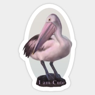 Pelican Sticker